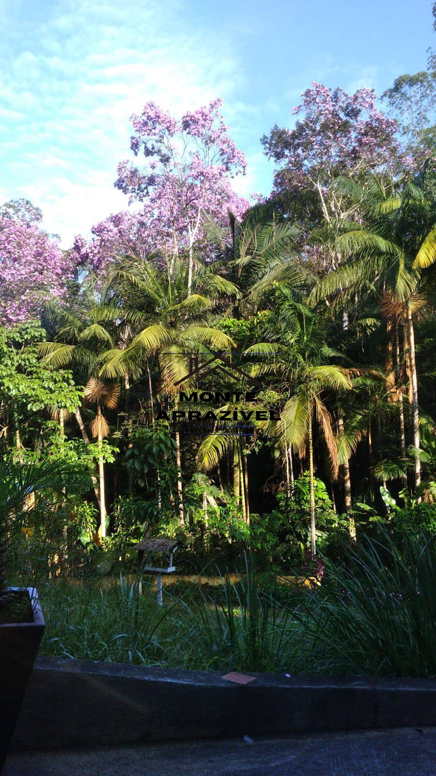 Sítio, 1 quarto, 7000 m² - Foto 23