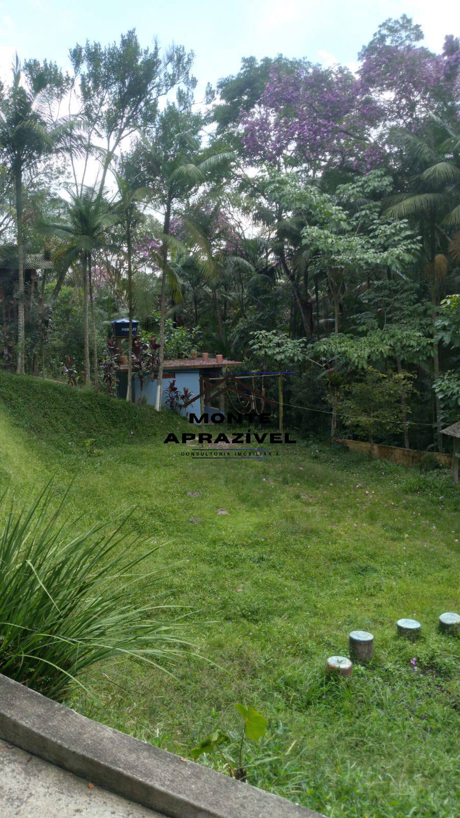 Sítio, 1 quarto, 7000 m² - Foto 25