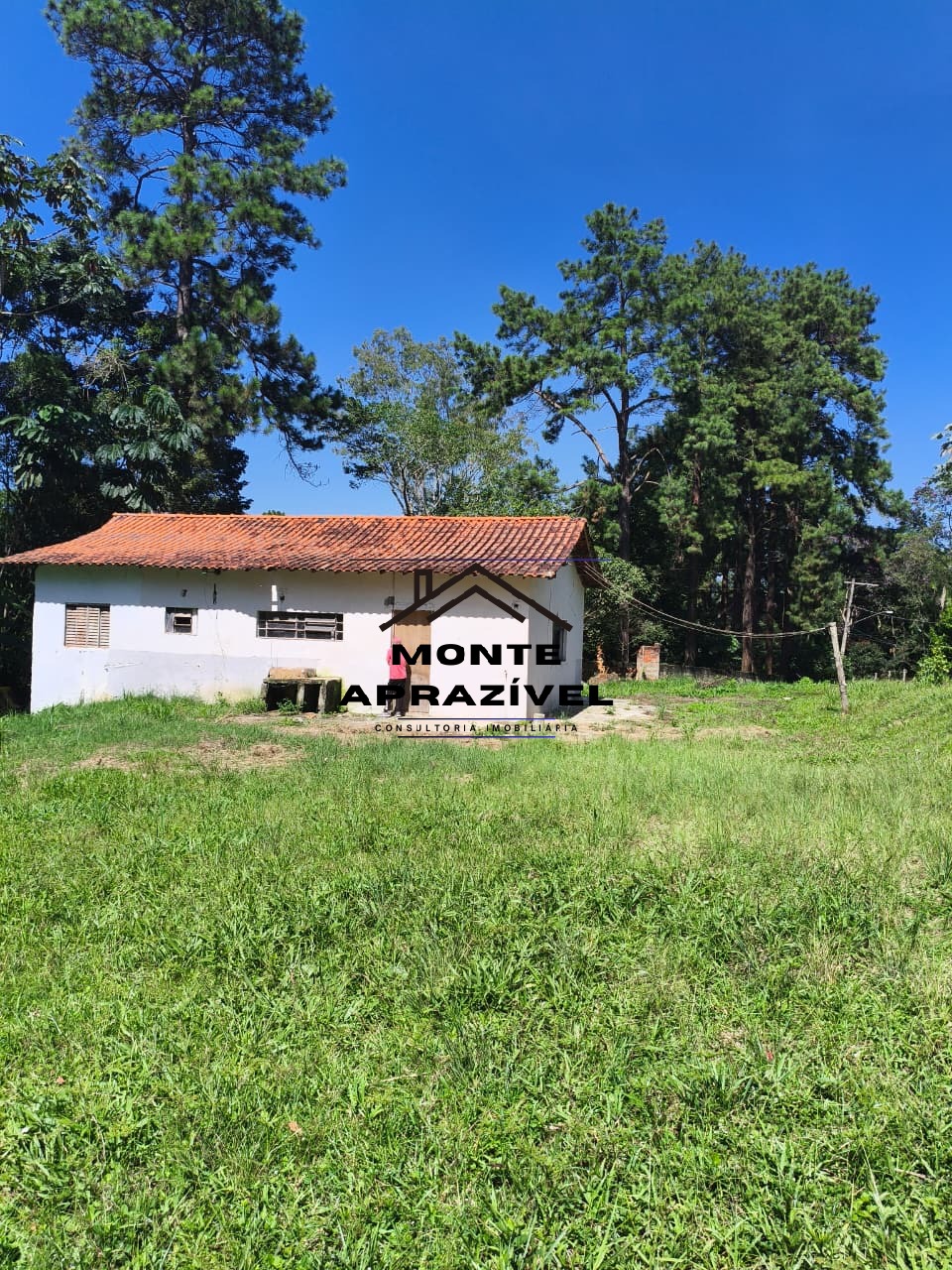 Sítio, 3 quartos, 9983 m² - Foto 2