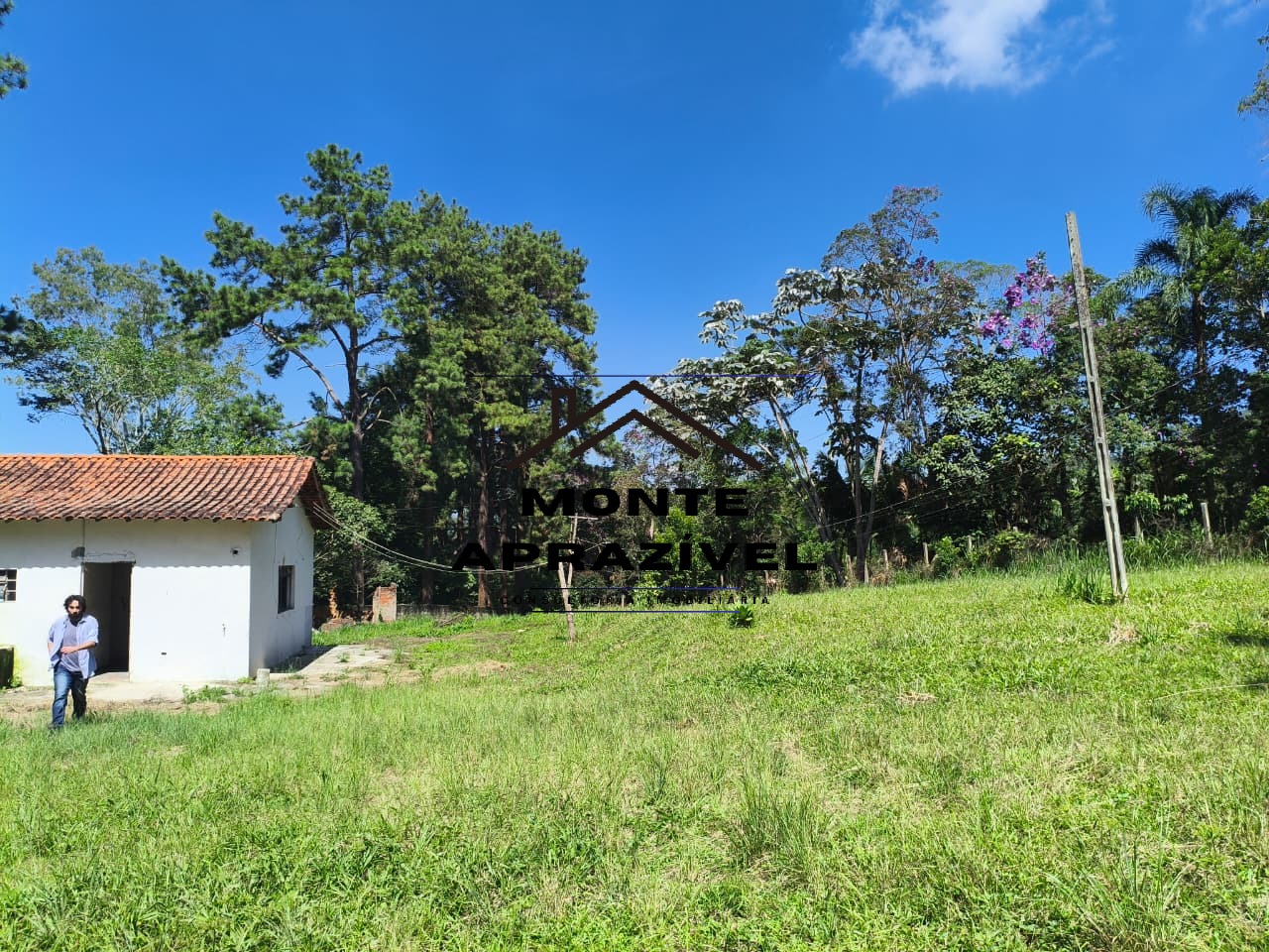 Sítio, 3 quartos, 9983 m² - Foto 10