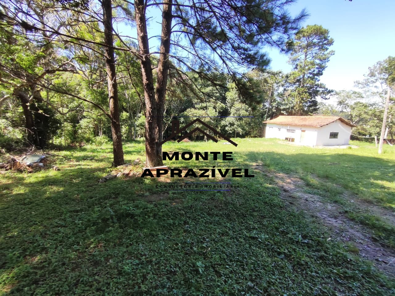 Sítio, 3 quartos, 9983 m² - Foto 12