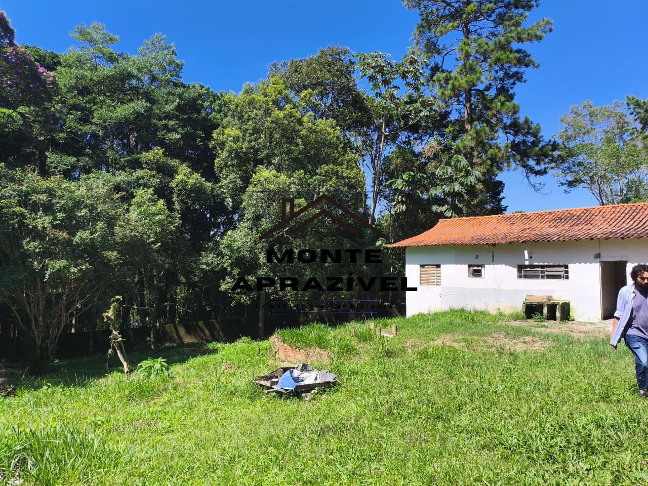 Sítio, 3 quartos, 9983 m² - Foto 20