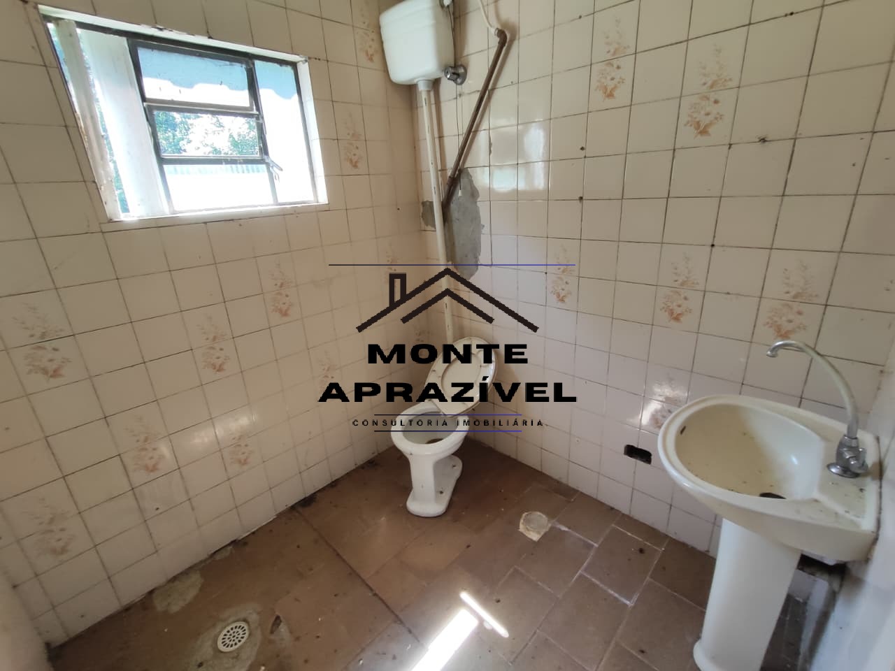 Sítio, 3 quartos, 9983 m² - Foto 19