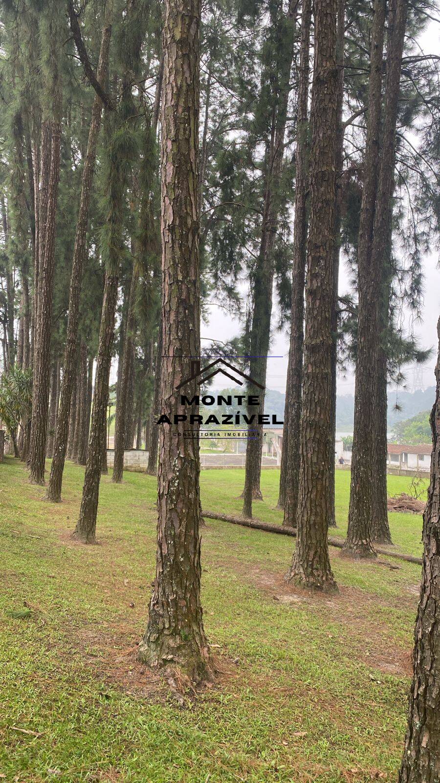 Sítio, 6 quartos, 1 hectares - Foto 40