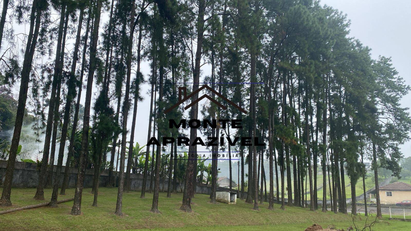 Sítio, 6 quartos, 1 hectares - Foto 61