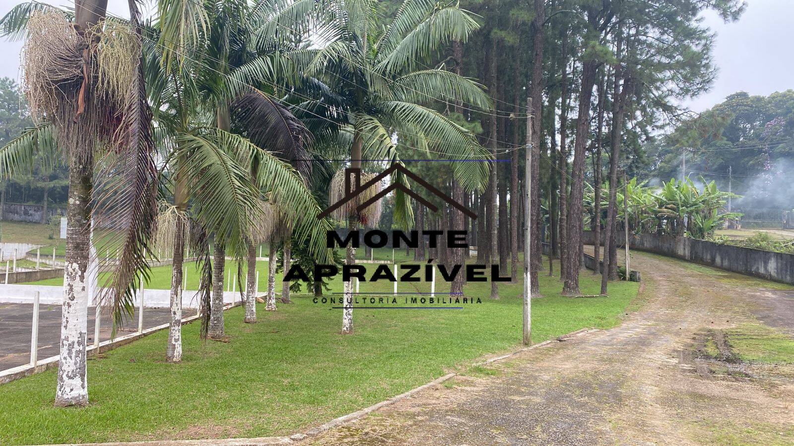 Sítio, 6 quartos, 1 hectares - Foto 87