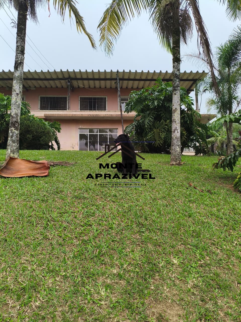 Sítio, 6 quartos, 1 hectares - Foto 94