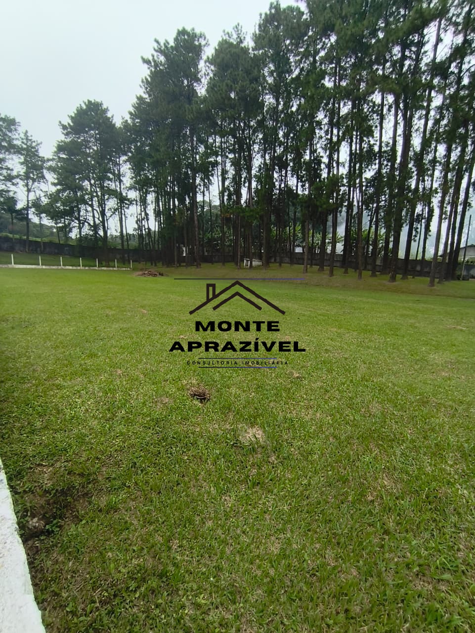 Sítio, 6 quartos, 1 hectares - Foto 101