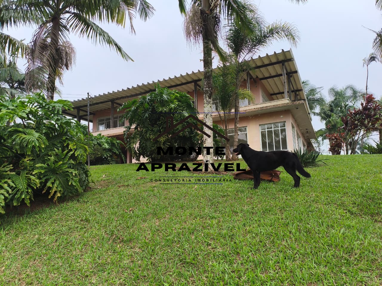 Sítio, 6 quartos, 1 hectares - Foto 146