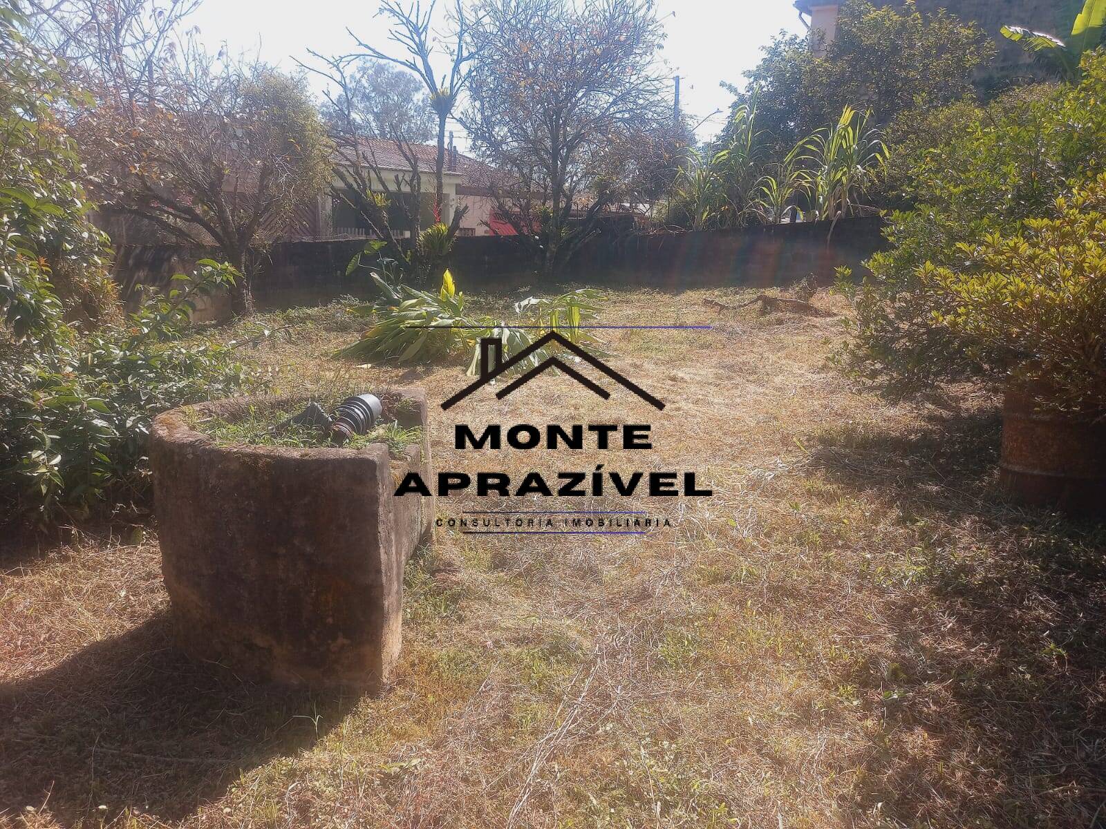 Sítio, 5 quartos, 4197 m² - Foto 11