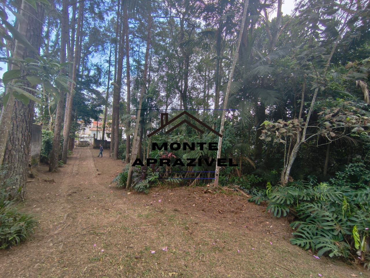 Sítio, 2 quartos, 9087 m² - Foto 32