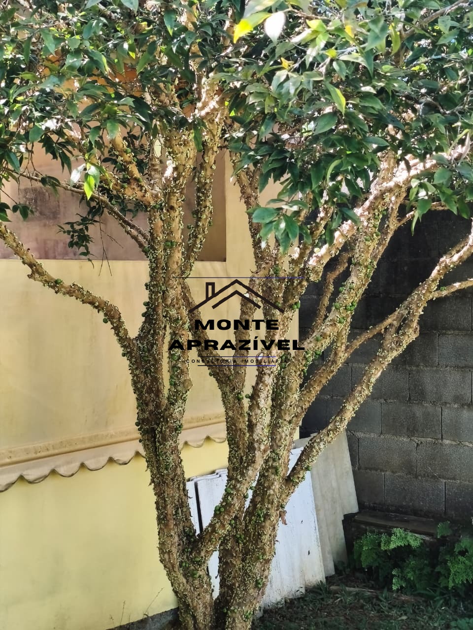 Sítio, 2 quartos, 1000 m² - Foto 49