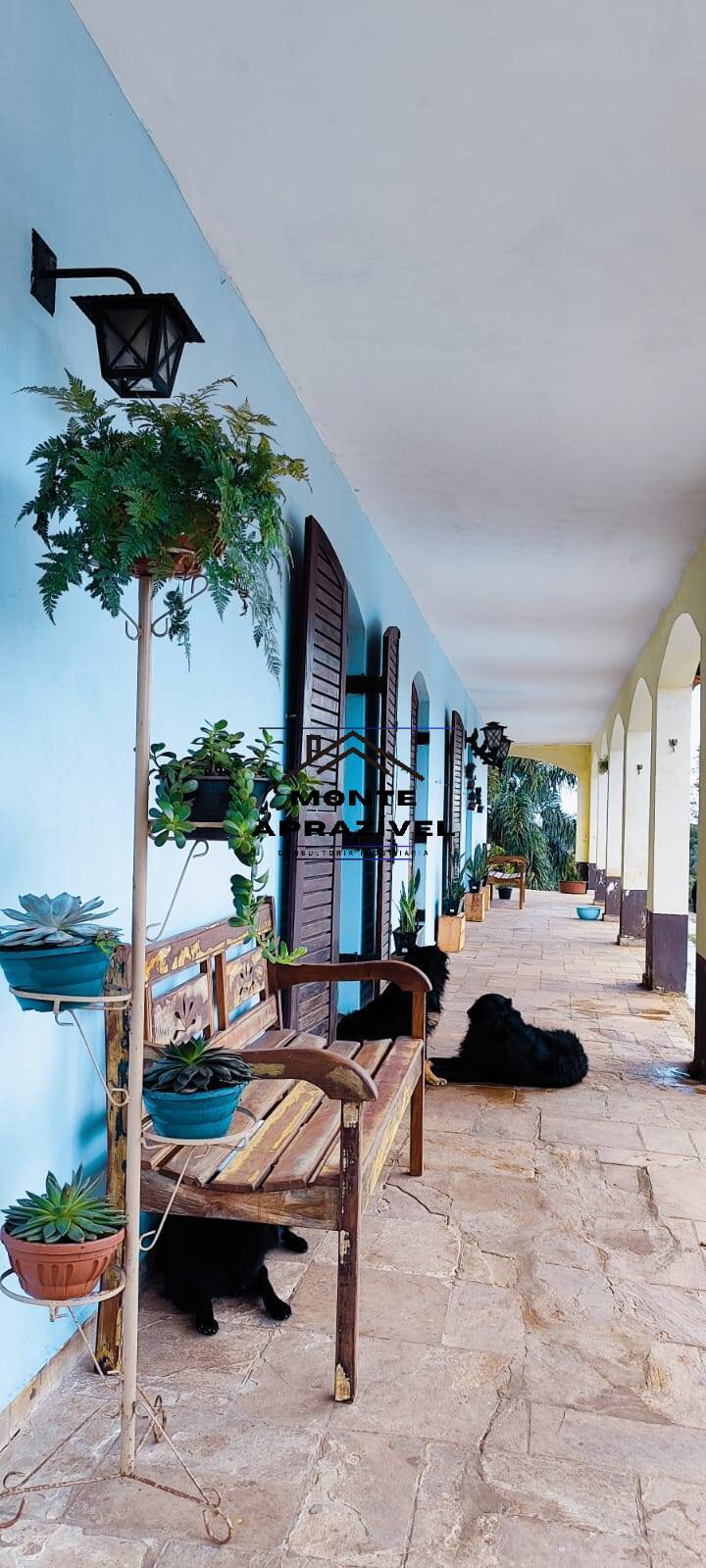Chácara, 3 quartos, 8000 m² - Foto 16