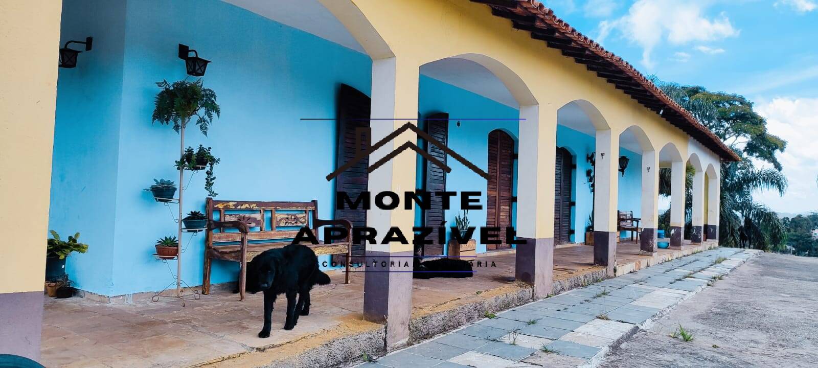 Chácara, 3 quartos, 8000 m² - Foto 23