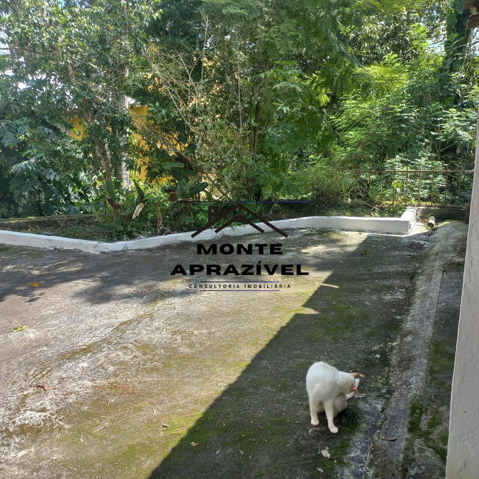 Chácara, 2 quartos, 1306 m² - Foto 27