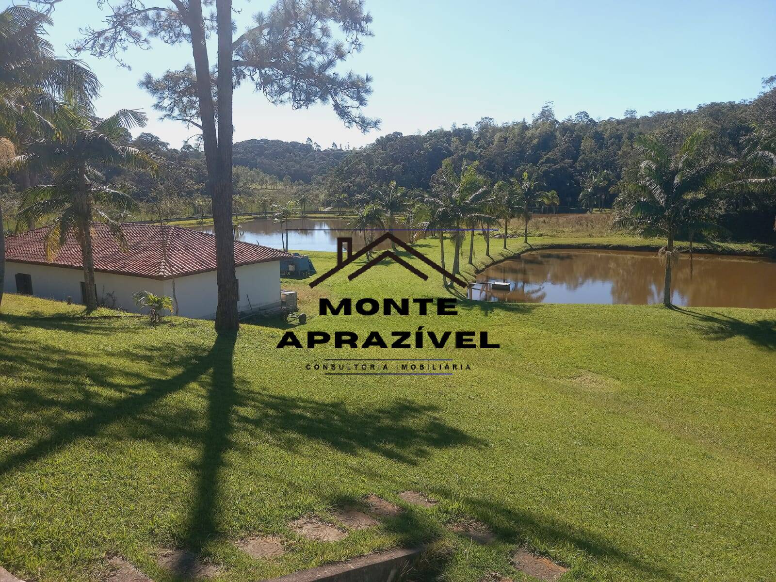 Sítio, 7 quartos, 38 hectares - Foto 3