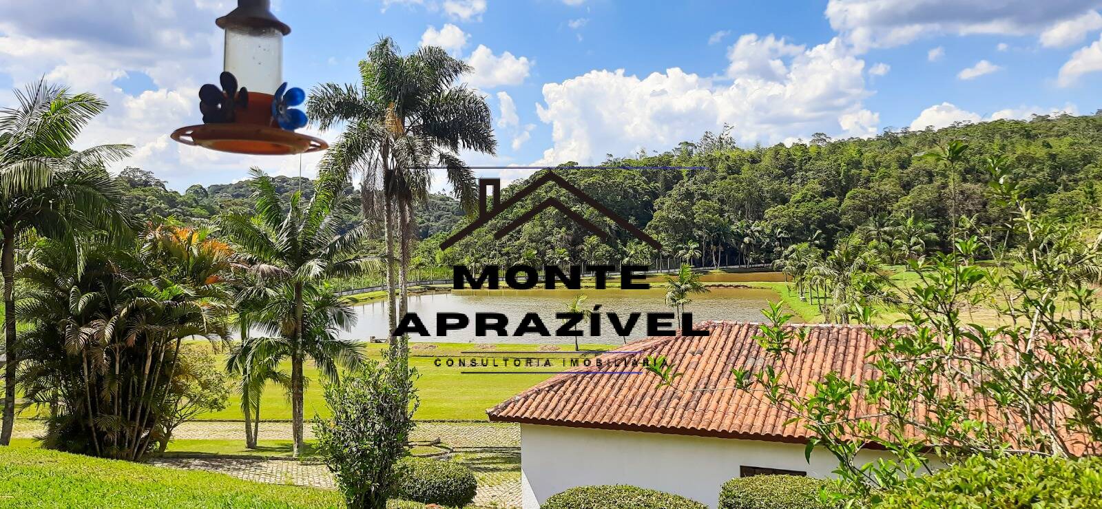 Sítio, 7 quartos, 38 hectares - Foto 5