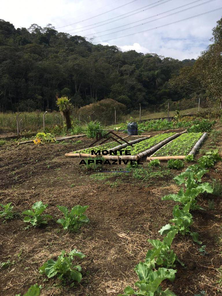 Sítio, 7 quartos, 38 hectares - Foto 35