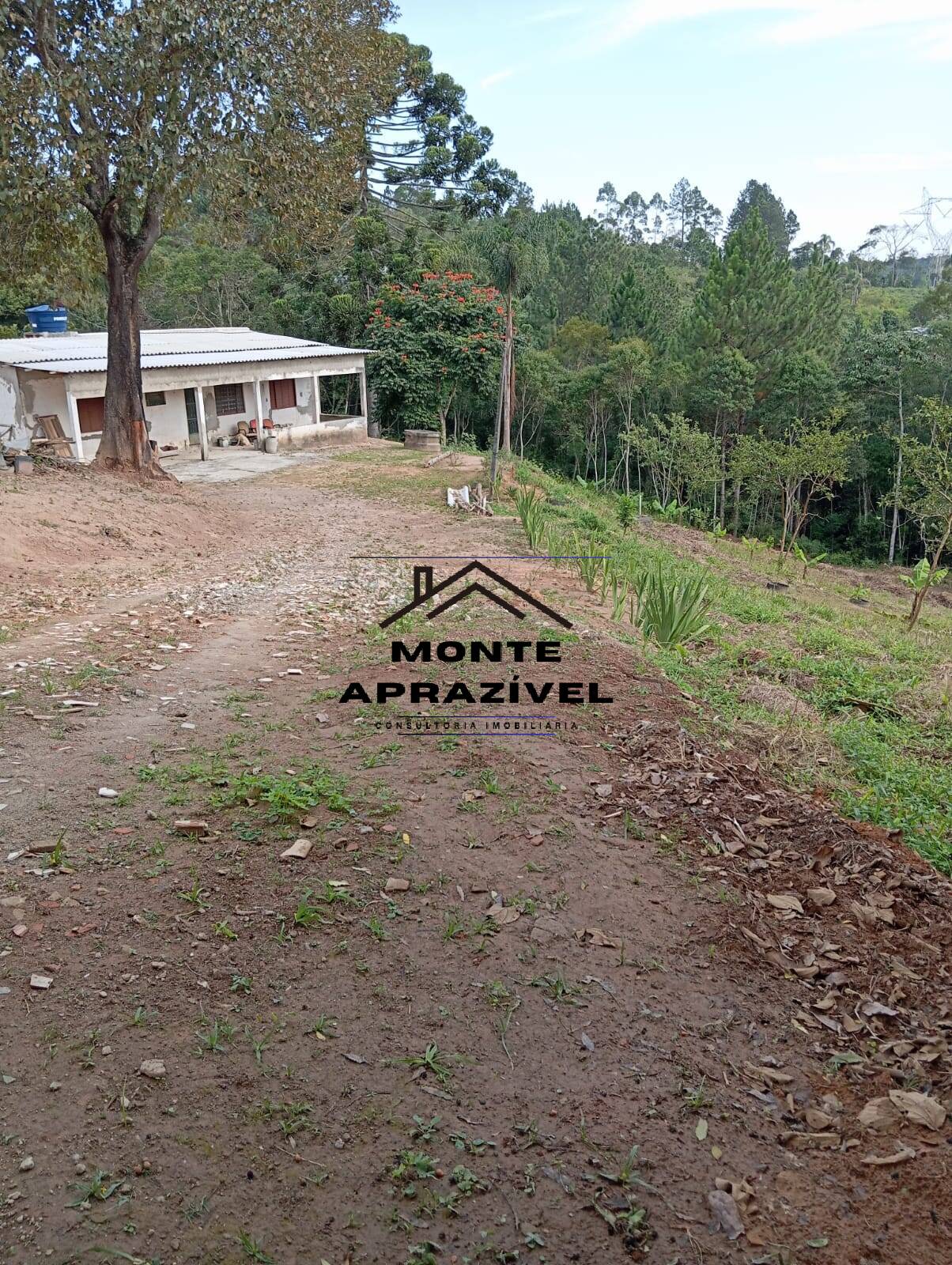 CHÁCARA À VENDA EM PALMEIRAS – SUZANO/SP
