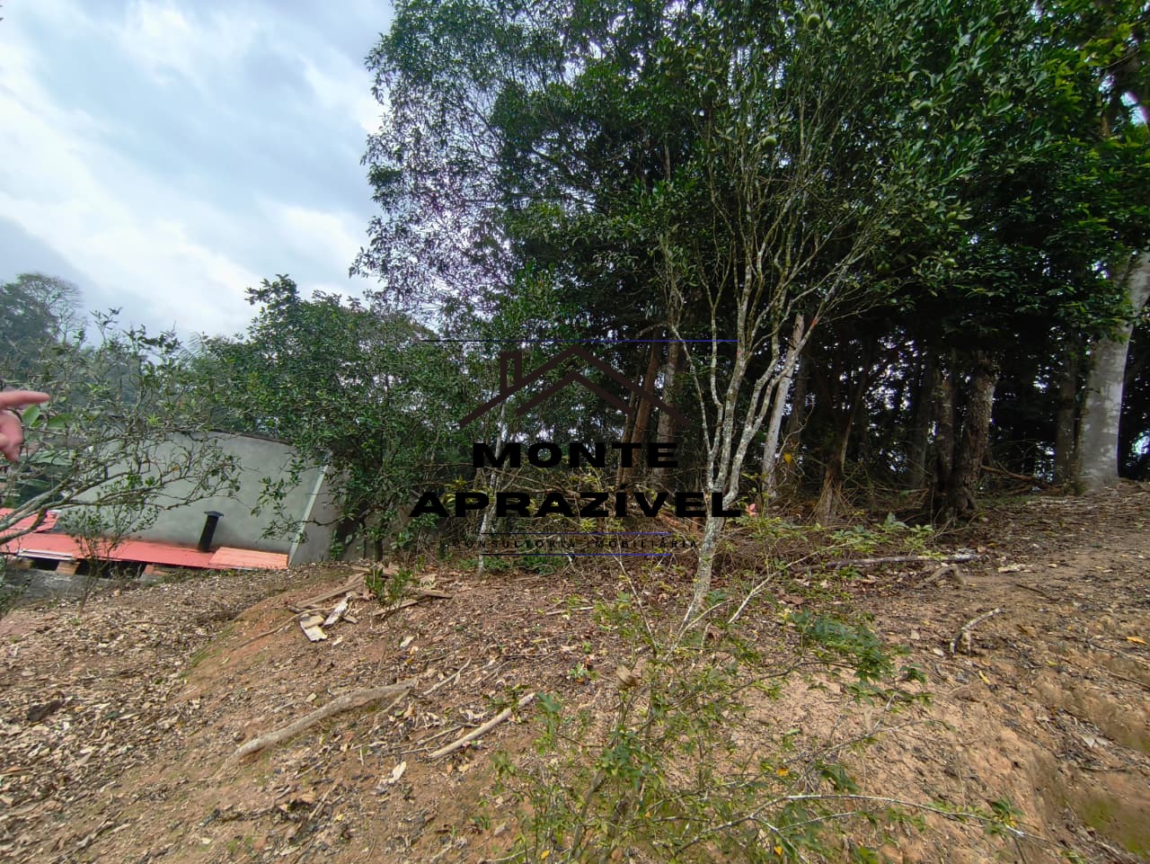 Sítio, 2 quartos, 800 m² - Foto 40