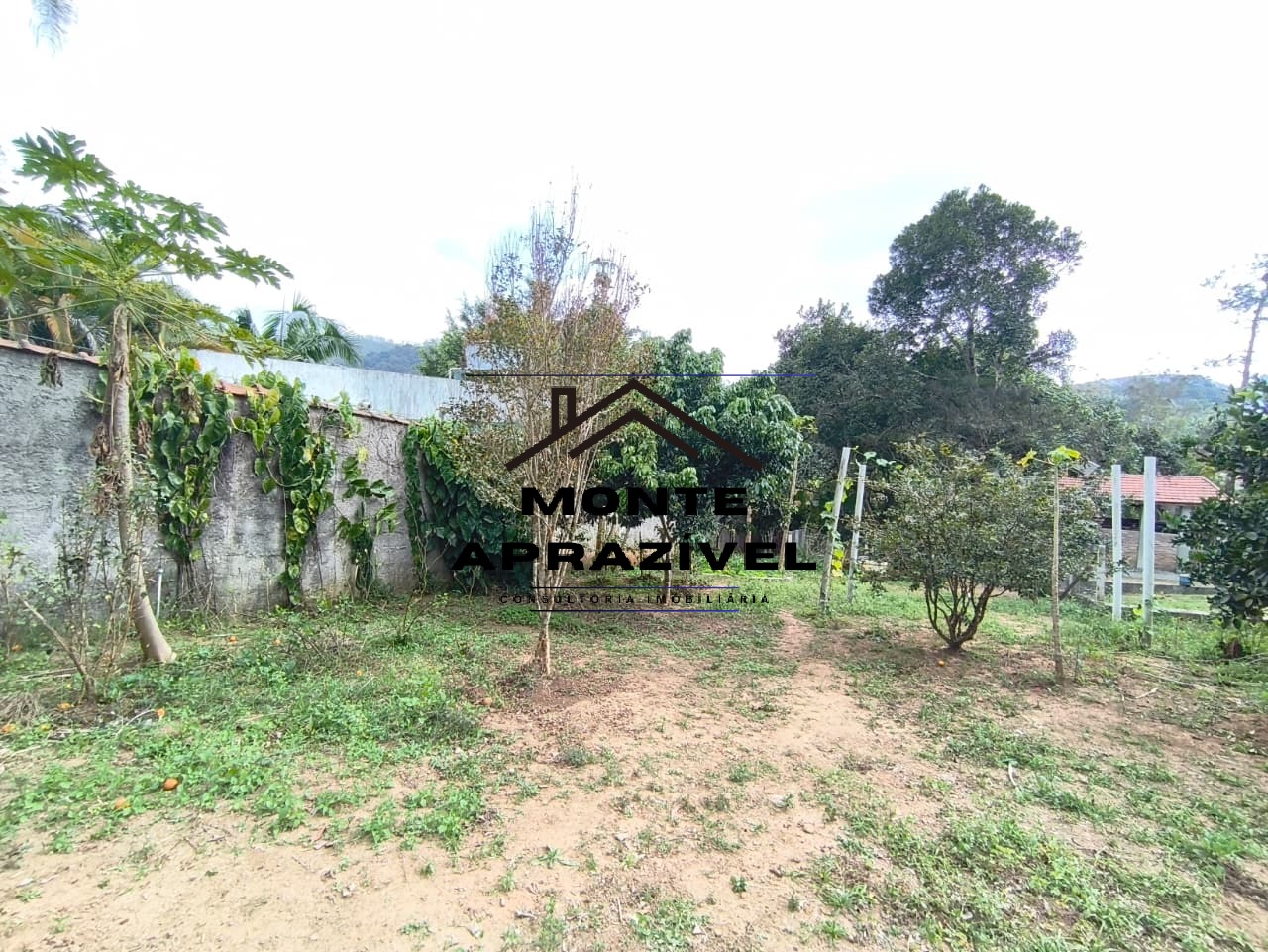 Chácara, 2 quartos, 5000 m² - Foto 41