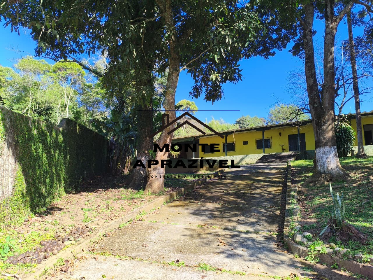 Chácara, 3 quartos, 980 m² - Foto 10