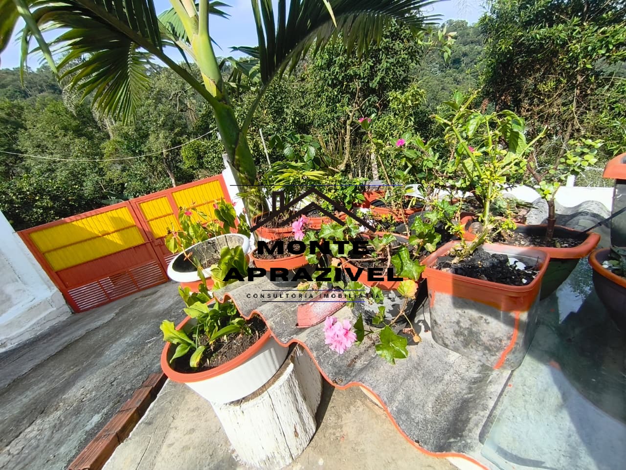 Chácara, 2 quartos, 2500 m² - Foto 34