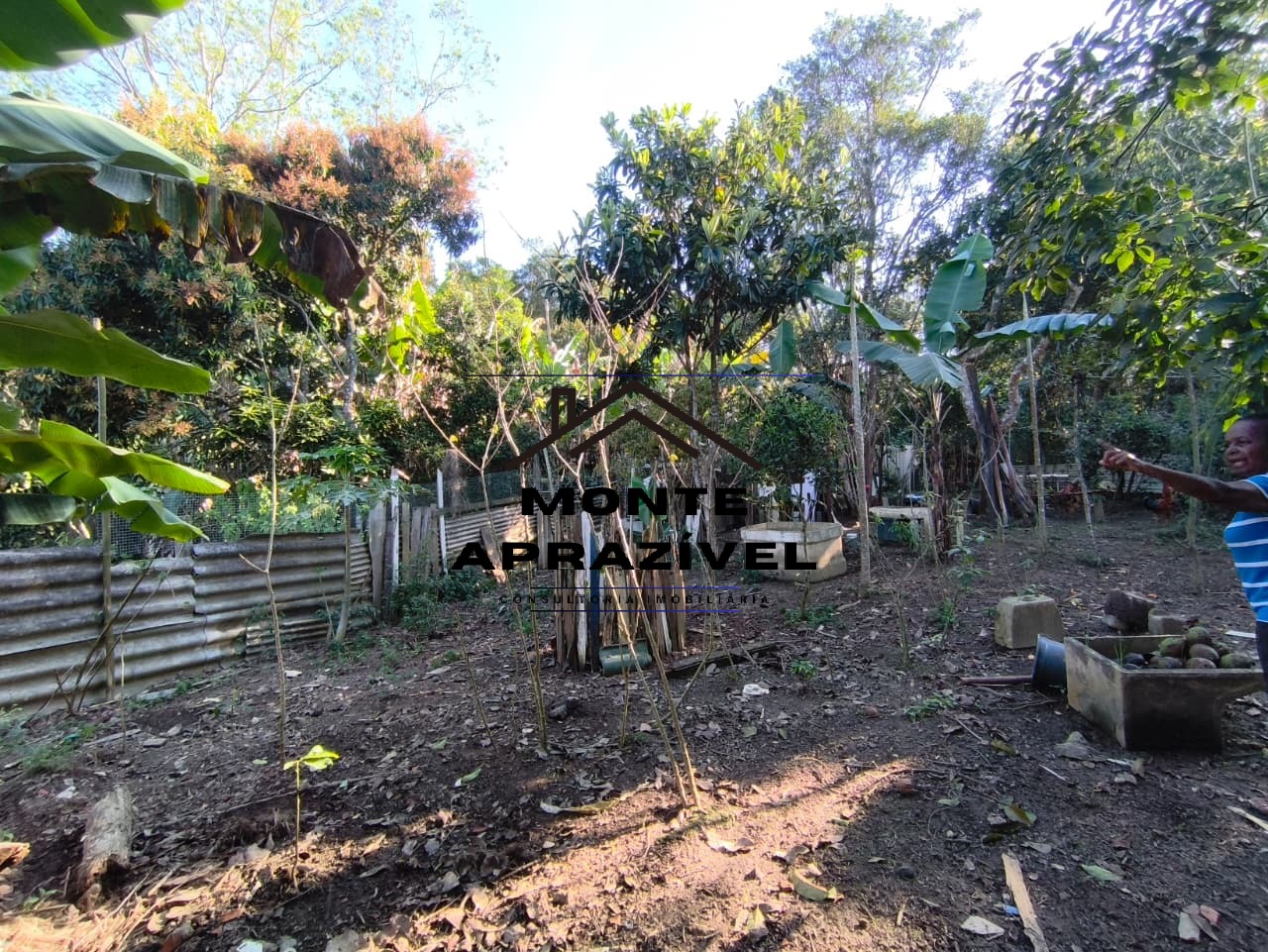 Casa, 5 quartos, 280 m² - Foto 13